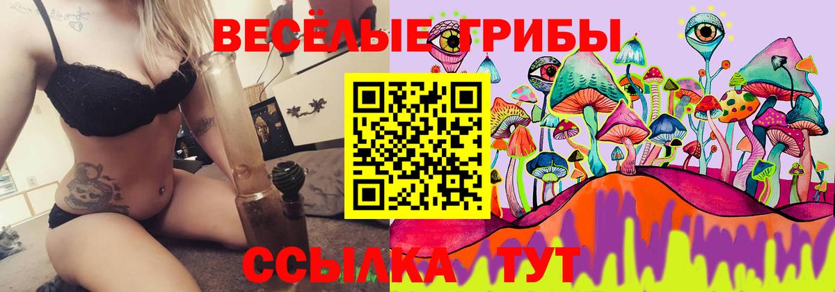 Зеленокумск  Галлюциногенные грибы Cubensis  Вход с VPN 