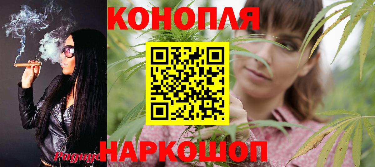 Бошки марихуана White Widow  Вход с VPN  Шишки марихуана конопля  Зеленокумск  Марихуана сатива 